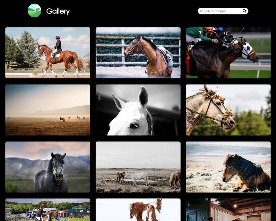 Image Gallery